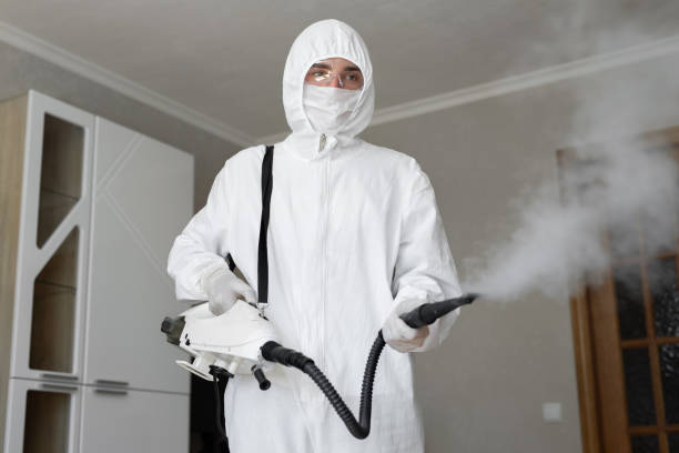  , USA Mold Removal & Remediation Pros